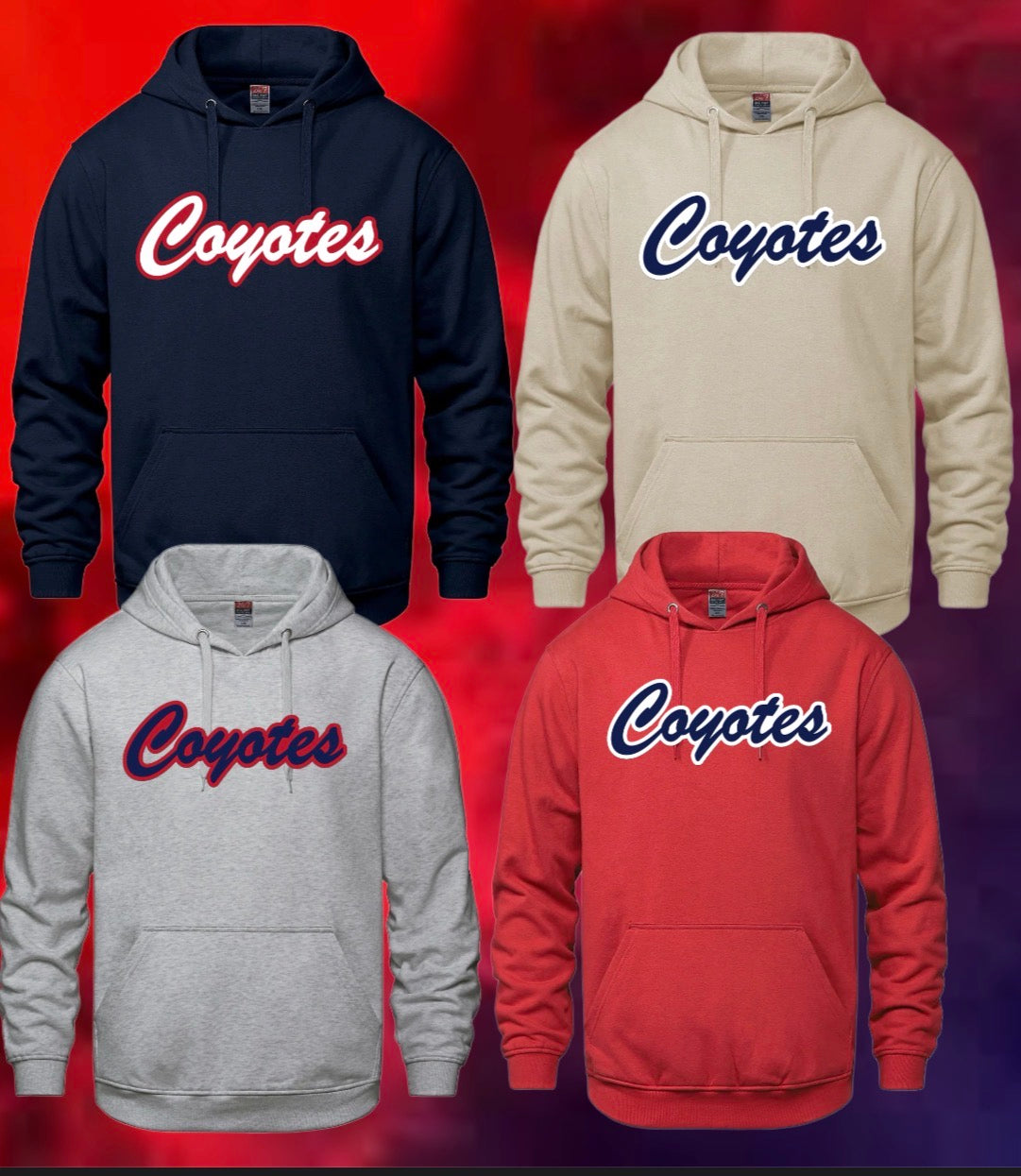 Yth. Dump & Chase Hoodie