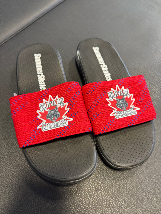 Coyotes Summerskates